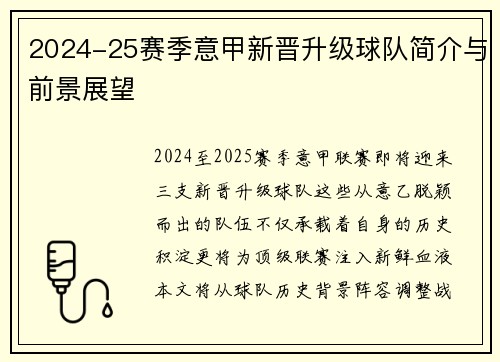 2024-25赛季意甲新晋升级球队简介与前景展望